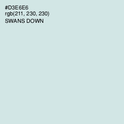 #D3E6E6 - Swans Down Color Image